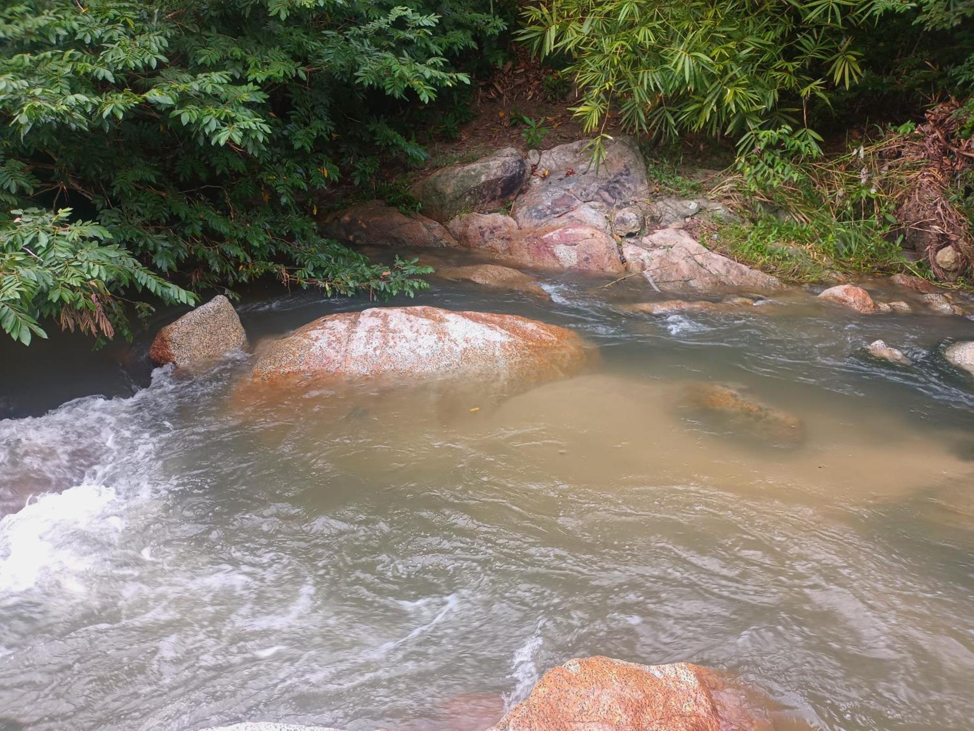 Sierra Tayrona Hostel Эль-Саино Экстерьер фото